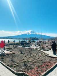 富士山河口湖