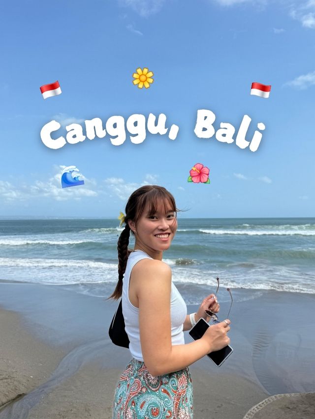 【峇里】Canggu日衝浪 夜狂歡 party town～