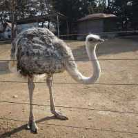 【中国/青島動物園】