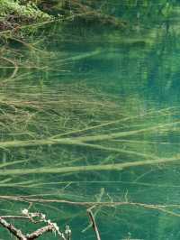 The Enchanted Valley: Exploring the Beauty of Jiuzhaigou
