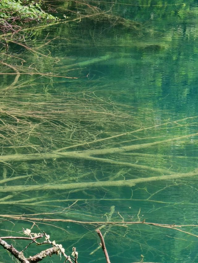 The Enchanted Valley: Exploring the Beauty of Jiuzhaigou