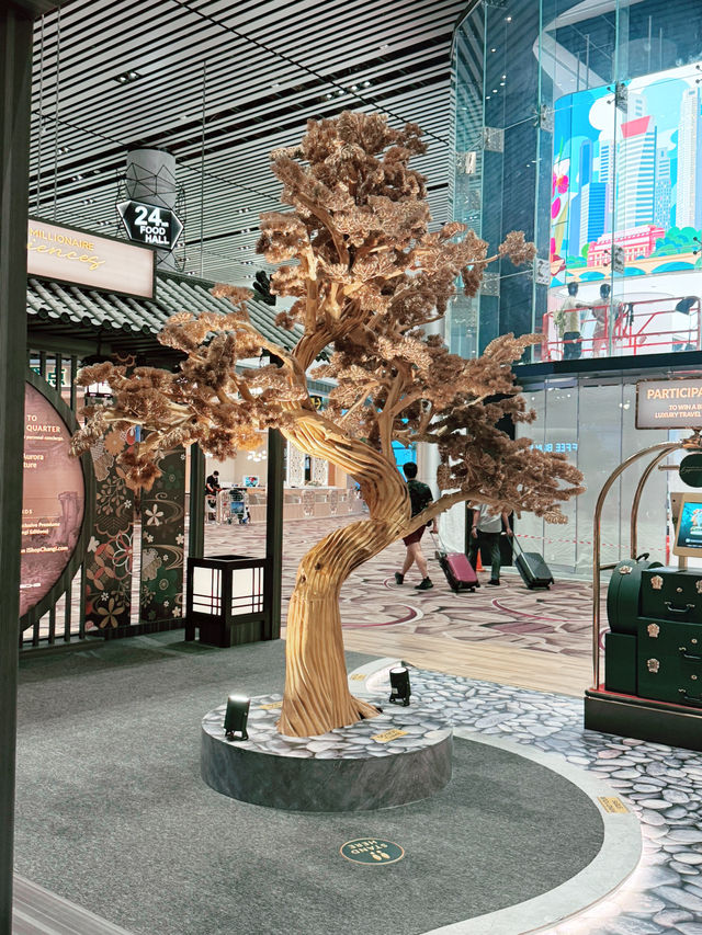 ✨A Layover That Felt Like a Vacation – My Amazing Experience at Changi Airport ✨