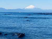 Seaside Educational Facility (Tenjin Island Rinkai Nature Education Garden) 