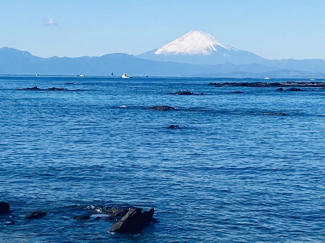 Seaside Educational Facility (Tenjin Island Rinkai Nature Education Garden) 