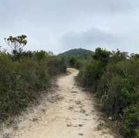 Hike to the Tranquil Heights of Black Hill