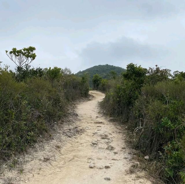 Hike to the Tranquil Heights of Black Hill