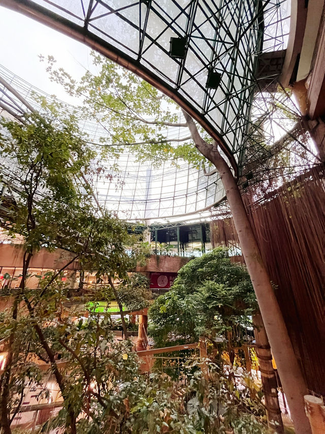 マレーシア初！都会の中の森カフェ体験🌿1 Utamaのレインフォレスト