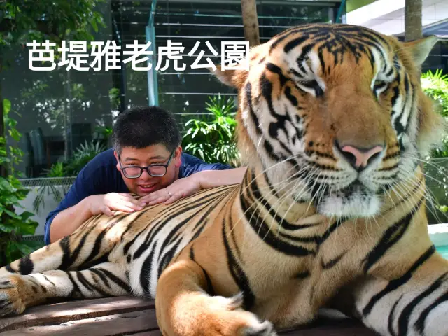 7月泰國遊 景點編 芭堤雅老虎園