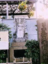🎨春の日本橋から東京駅へ、江戸とアートを巡る1日