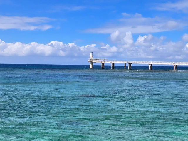 沖繩之旅 水族館 萬座毛 美國村 玉泉洞