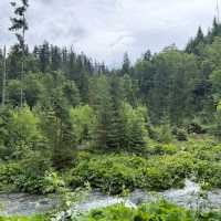 Tatra Mountains – “Poland and Slovakia’s Shared Alpine Treasure”
