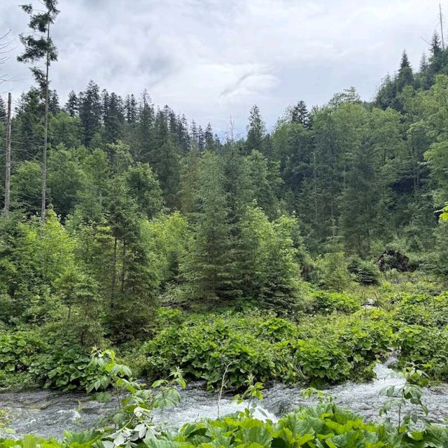 Tatra Mountains – “Poland and Slovakia’s Shared Alpine Treasure”