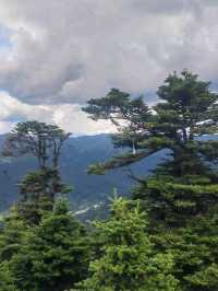 美丽的风景