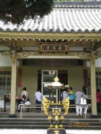 Discovering the Steamy Charm of Beitou Thermal Valley