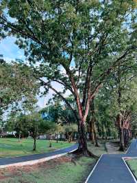 Discover the Beauty of Garden Park MBKS, Kuching’s Lush Green Escape
