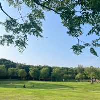 ✨ 埌東公園✨舒適綠地🌳