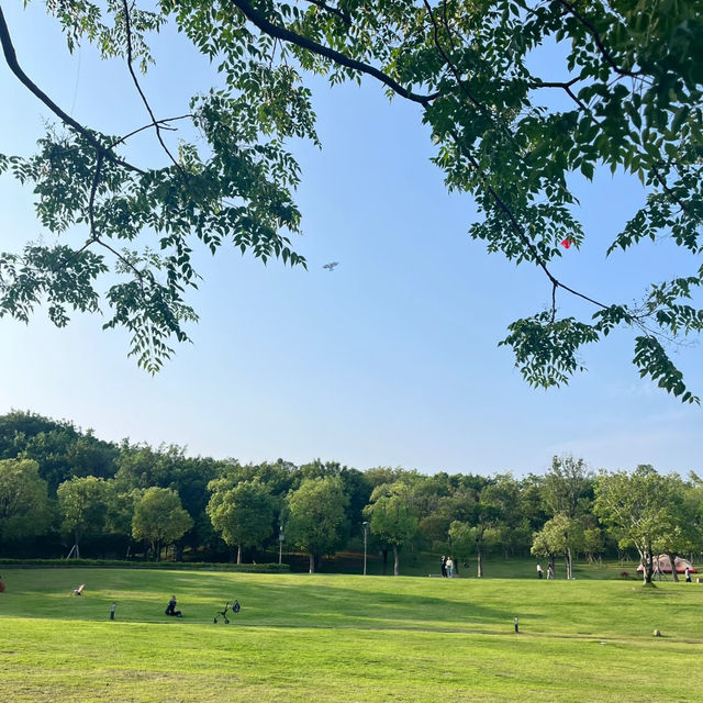 ✨ 埌東公園✨舒適綠地🌳