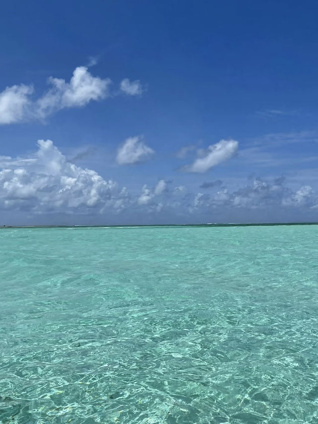 🌴 Maldives on a Budget – Kaani Palm Beach Experience 🇲🇻 🌴 Maldives on a Budget – Kaani Palm Beach Experience 🇲🇻