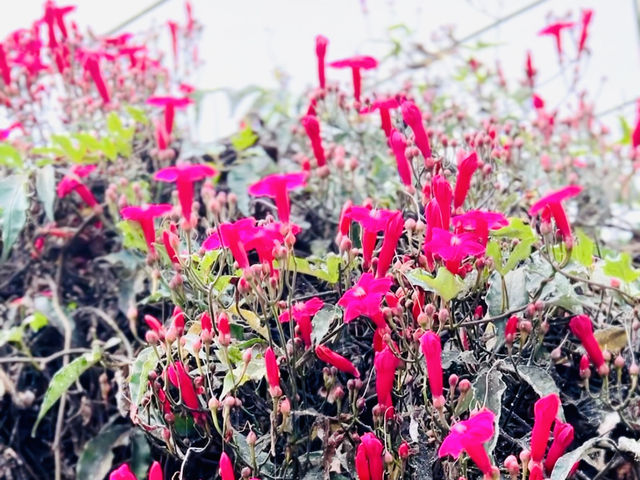 Escape to Nature’s Wonderland! 