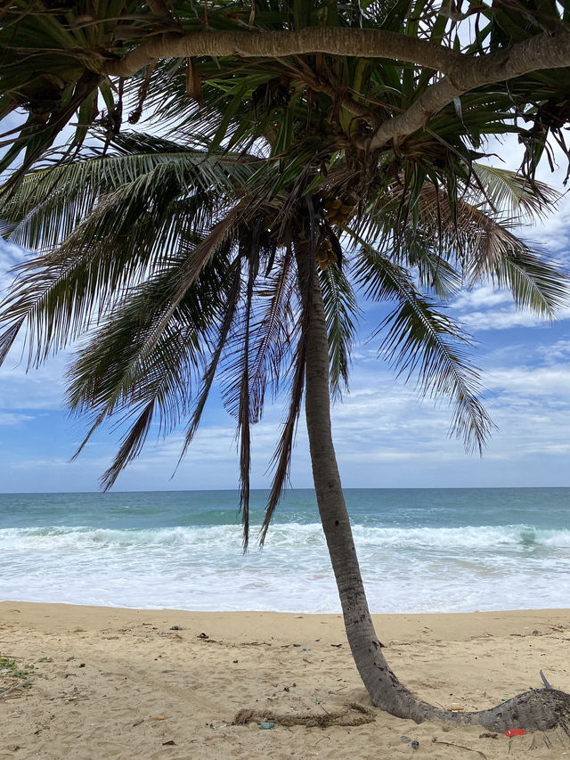 Karon Vibes 🌴