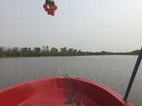 🌸 Travel Blog: Red Lotus Sea (Talay Bua Daeng), Udon Thani 🌸