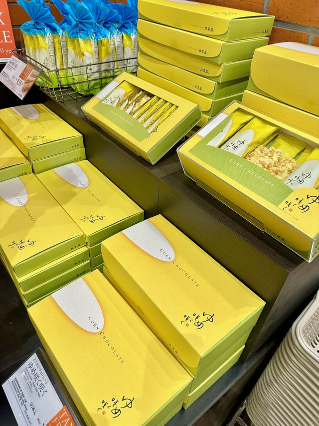 삿포로 여행 계획 짜기!