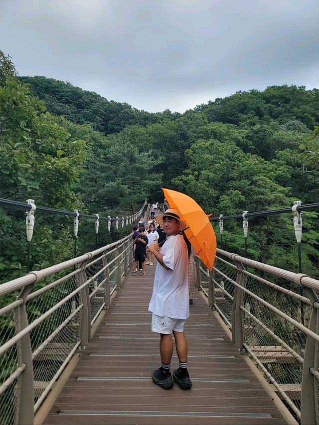 폭포와 황화코스모스 모두를 즐기는 연천여행지🧡