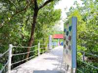 Cherating Mangrove Park – Nature’s Hidden Classroom