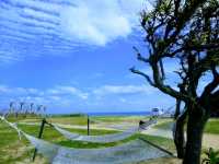 小浜島と西表島で海満喫旅