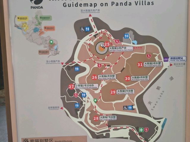 Chengdu Panda Base