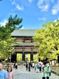 🏯 교토 근교 나라 도다이지(東大寺) 여행 가이드