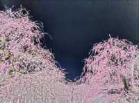 梅とグルメの一泊二日