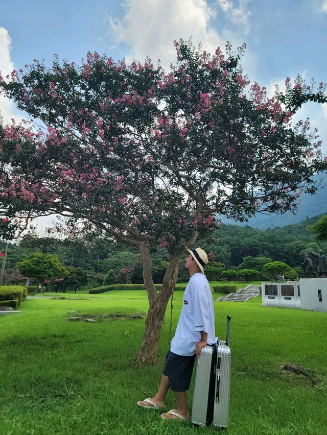 내장산뷰가 힐링였던 정읍 야외 나들이코스💚