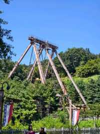 Woodland Thrills🎢