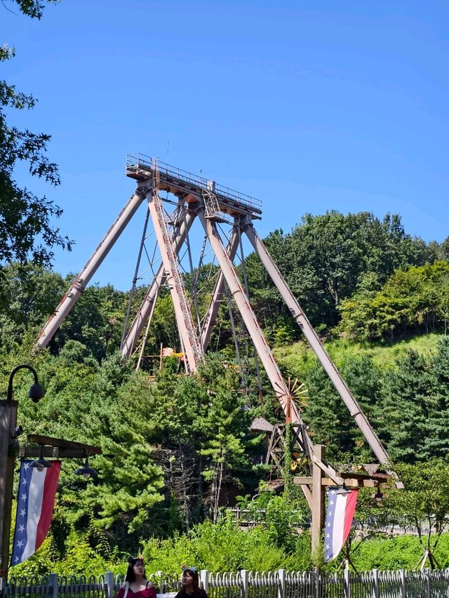 Woodland Thrills🎢