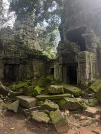 Giant roots and a magical place - Ta Prohm Temple