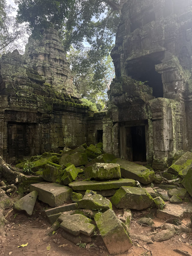 Giant roots and a magical place - Ta Prohm Temple