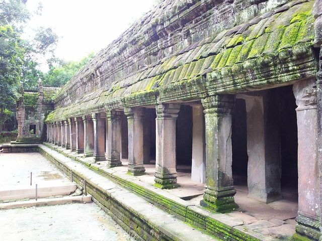 Nature Takes Over - Ta Prohm Nature Takes Over - Ta Prohm