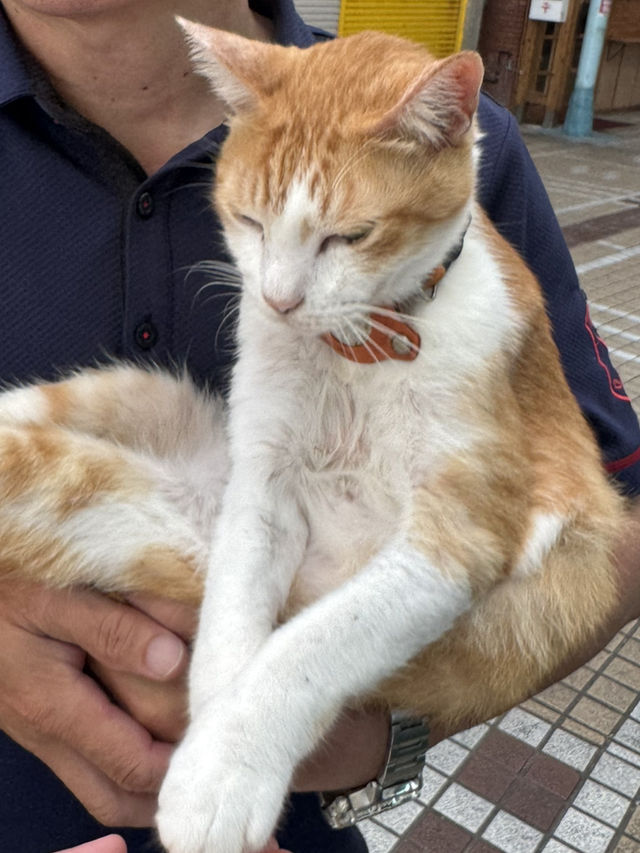 【沖縄・那覇】街歩きで楽しむ1日プラン🐾☕🎬