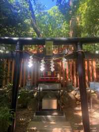 熱海｜隱身在樹林中來宮神社 繞神木一圈能延命一年傳說