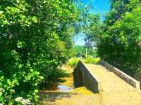 Discovering the Vibrant Spirit of Melide