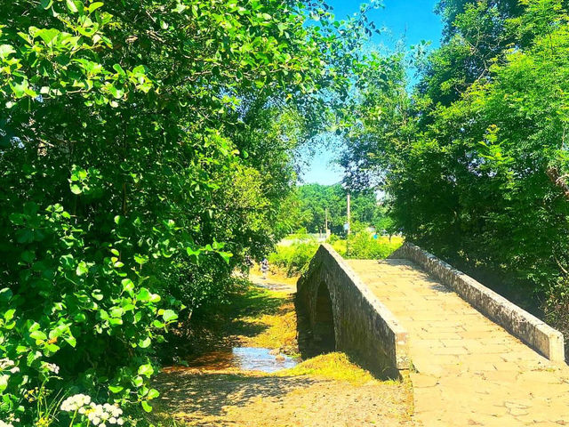 Discovering the Vibrant Spirit of Melide Discovering the Vibrant Spirit of Melide