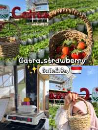 Catra.anggur & strawberry 🍓 