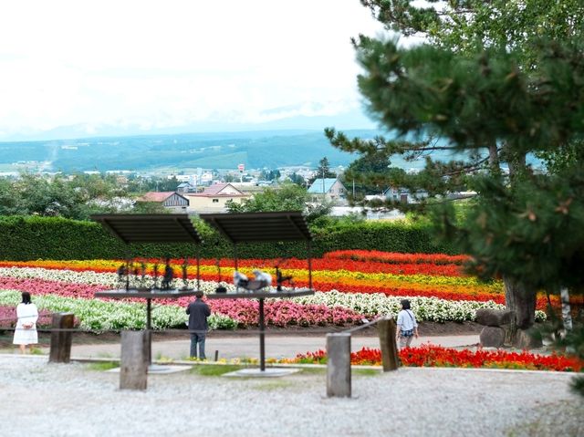 Farm Tomita Hokkaido