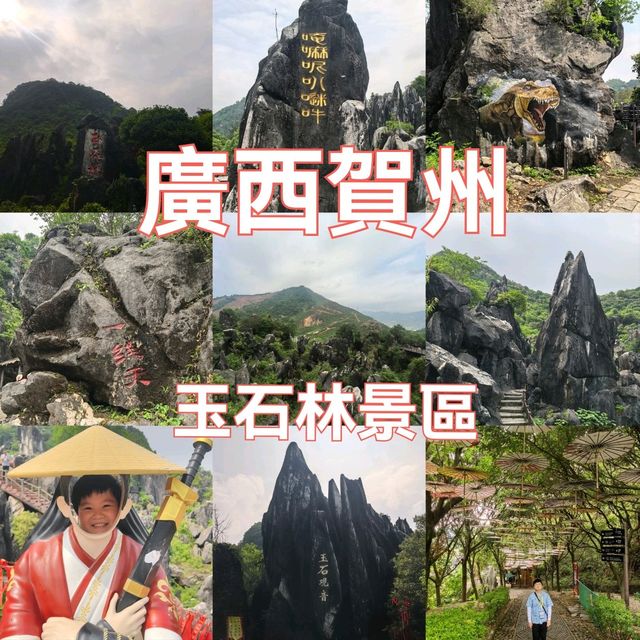 廣西賀州玉石林奇景如入水墨畫🎨