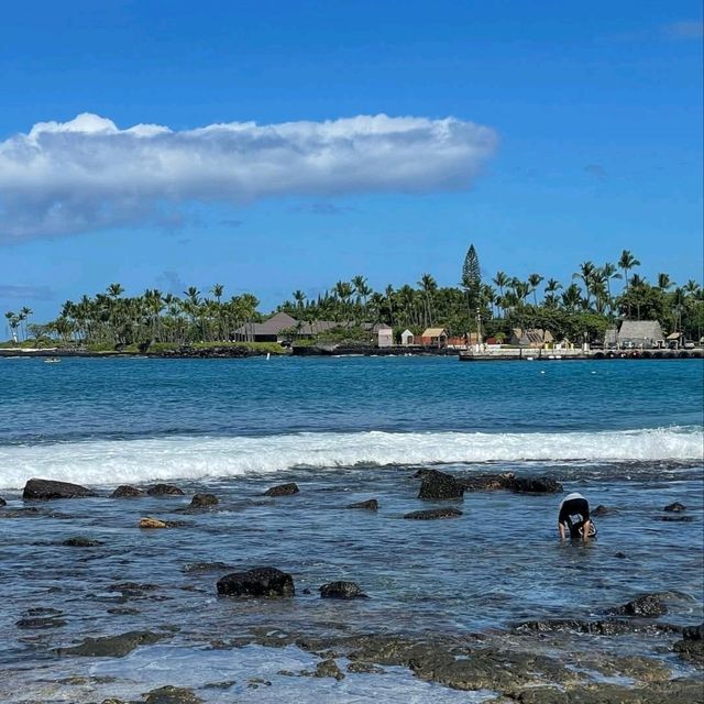 Laid Back Vibes in Kona