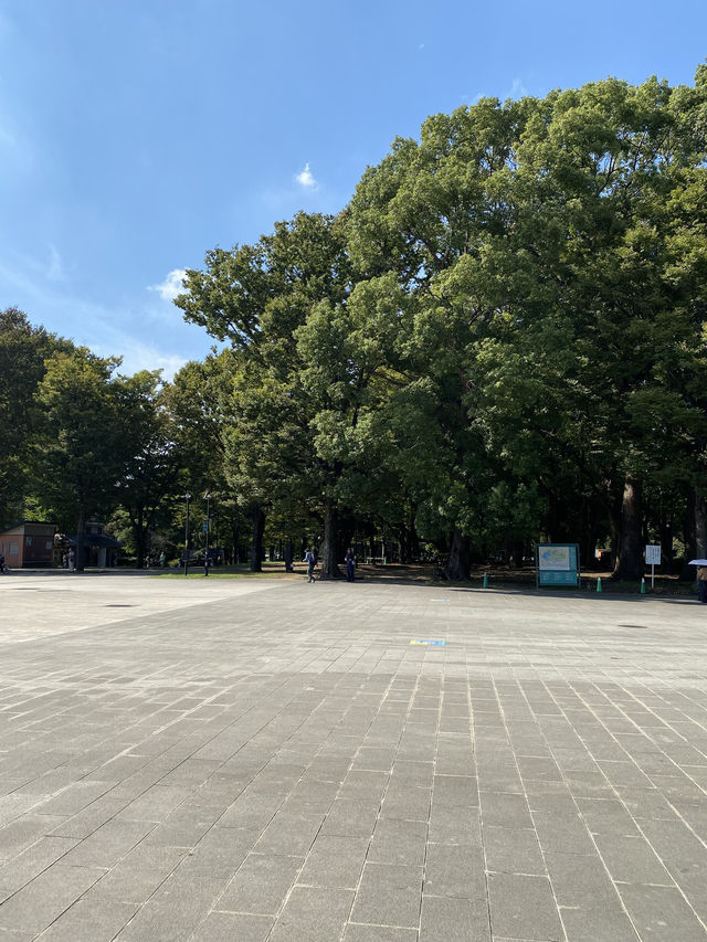 【東京都上野🇯🇵 上野恩賜公園】美術館や動物園に行くもよし‼️カフェでまったりするもよし☺️