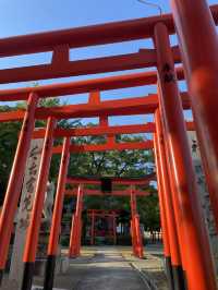 新幹線上就能看見的大島神社 連立鳥居