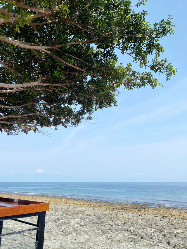 小琉球《海找冰》：坐在珊瑚海平台第一排，把海風喝進杯裡🪸☕️🌬️