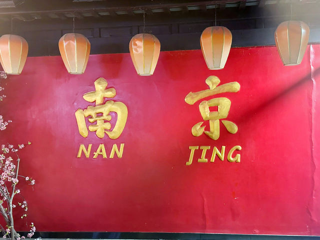 南京夜色古韻夫子廟一夜遊🌃